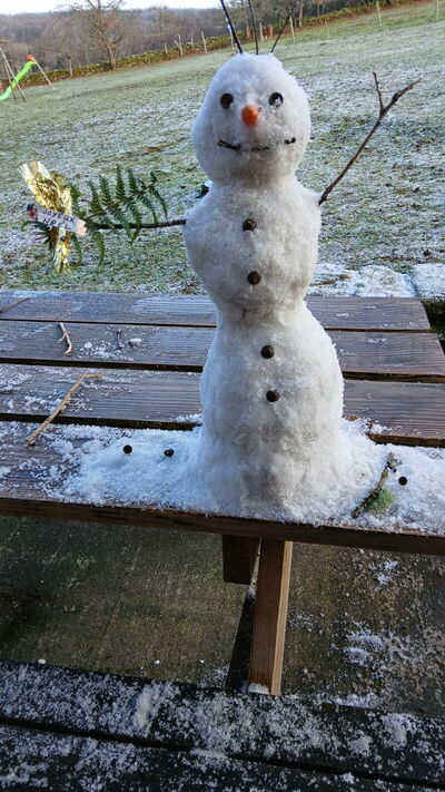Bonhomme de neige 2025