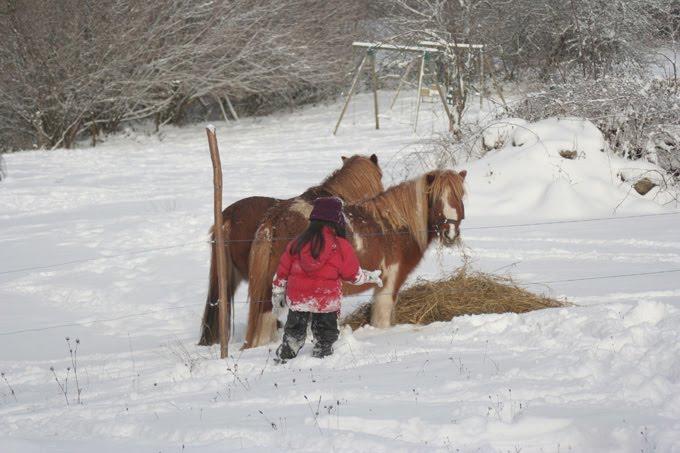 lasgorceix-sous-la-neige-6