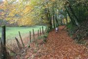 tourbiere