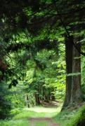 arboretum-3