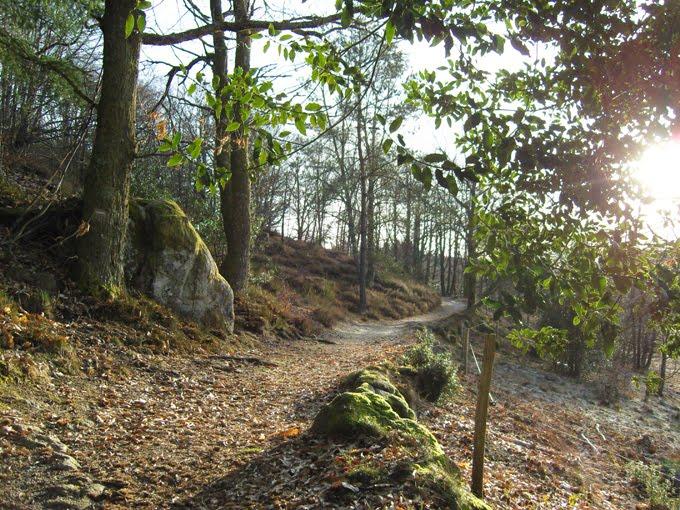 Chemins-de-Saint-Leger-la-Montagne---3