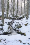 cascade