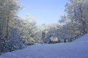 paysage-sous-la-neige